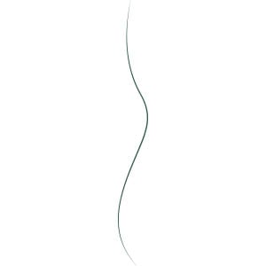shape